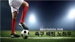 토토-축구-배팅법-베팅-노하우-스포츠토토링크